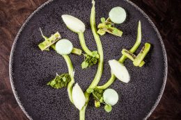 Header_16_Hardiquest_Christophe-bon_bon-Kiwi_Avocado_Gurke-260x173