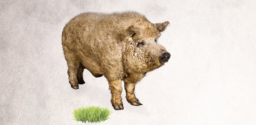 199-altabergut-slider-1