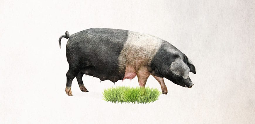 199-altabergut-slider-4