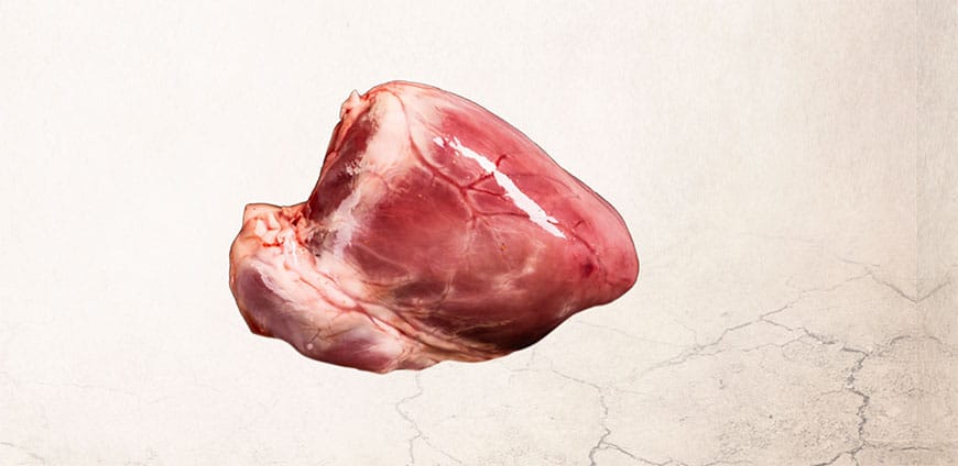 199-dieinnerenwerte-slider-3