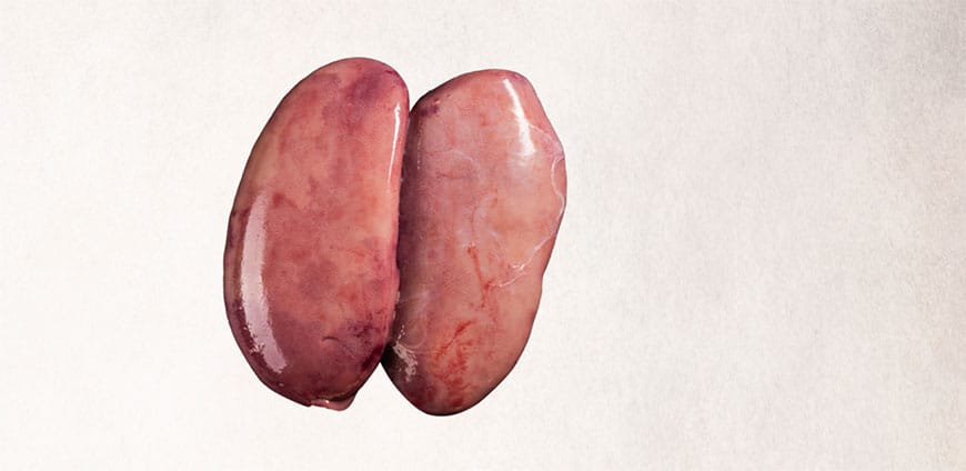 199-dieinnerenwerte-slider-4