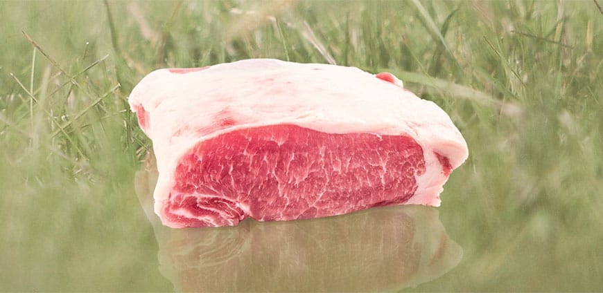 199-schweine-slider-2