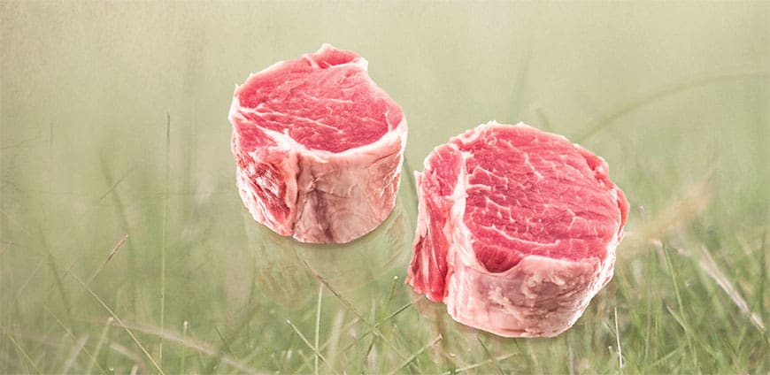 199-schweine-slider-3