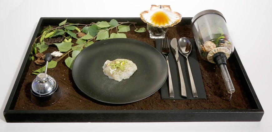 Dish-Ricky-Saward-slide