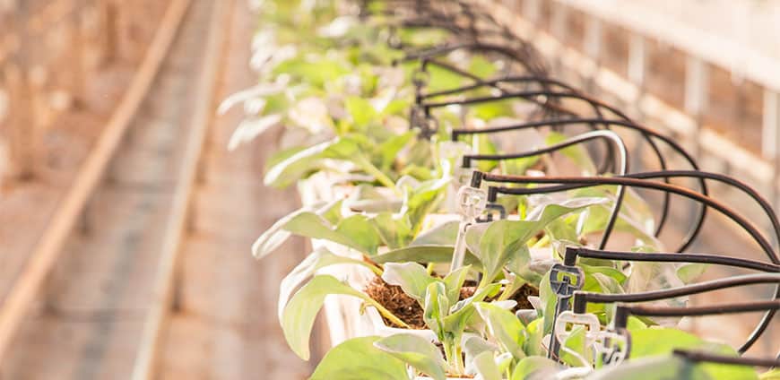 G5A8450-als-Smartobjekt-1-slider