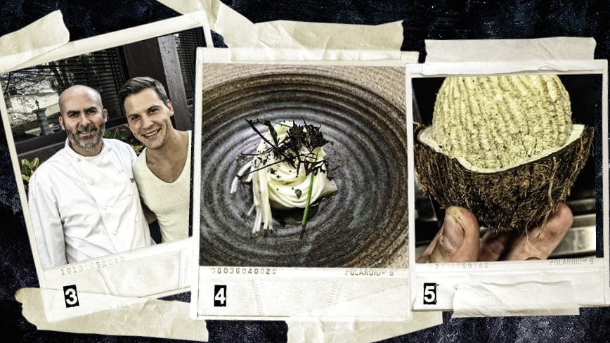 Junger-Wilder-2015-Bernwieser-Brasilien-Attala_2