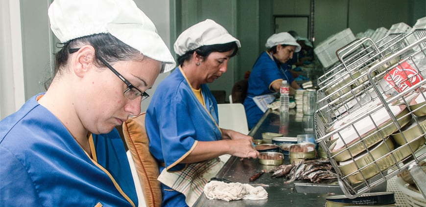 RP219-Sardinen_Produktion1-slider