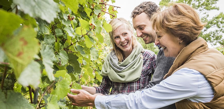 Transgourmet_Slider5