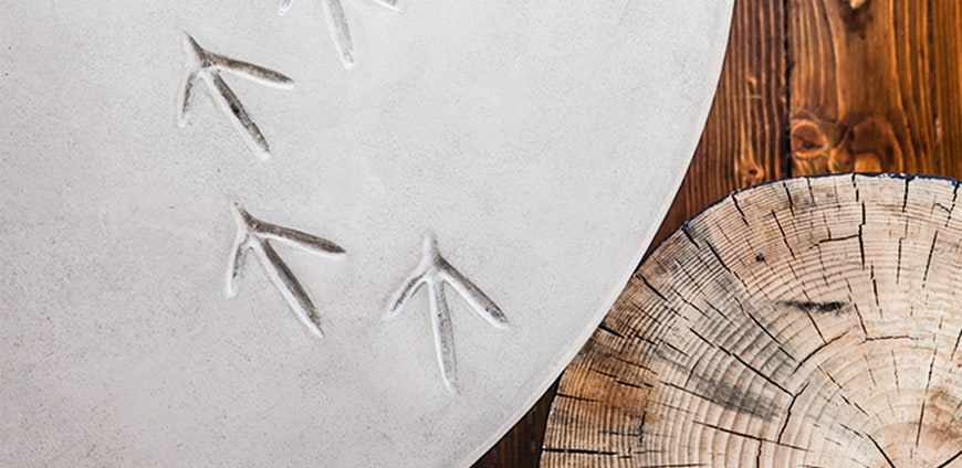 absurd-bird-05-slider