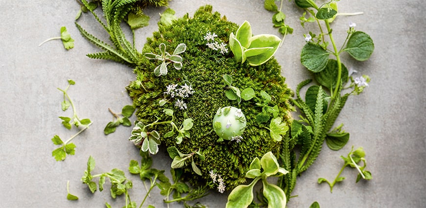 andre-chang-01-slider