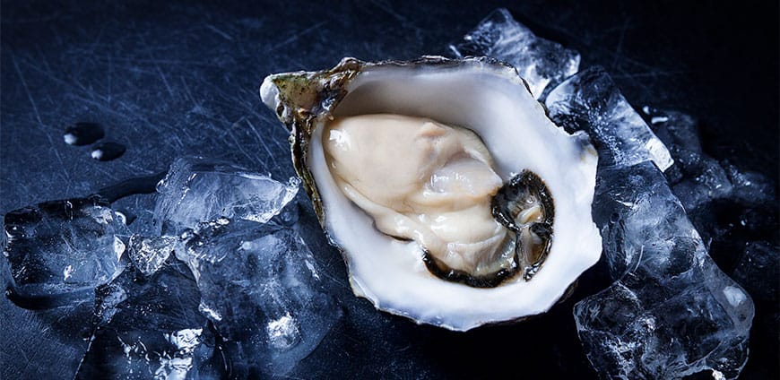 austernbank-speisen-inspiration-slider