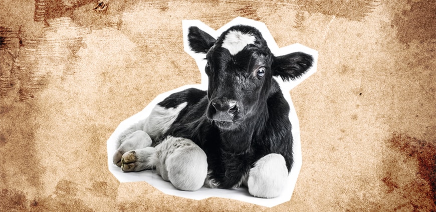 babynahrung-02-slider