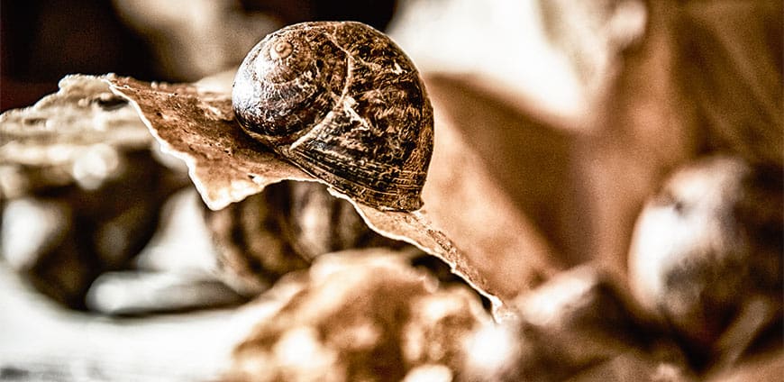 cmyk-h_00023587-als-Smartobjekt-1-slider