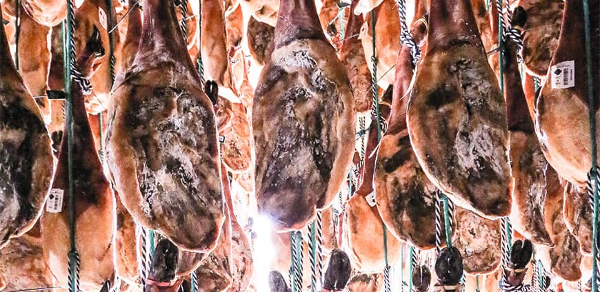 e19A4149-1-cmyk-slider