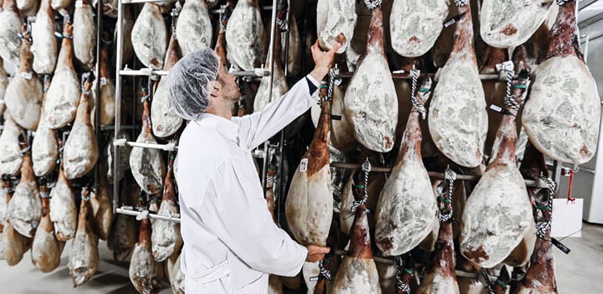 e19A4188-1-cmyk-slider