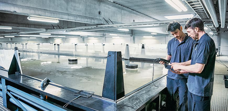 Bio-Salzwassergarnelenfarm