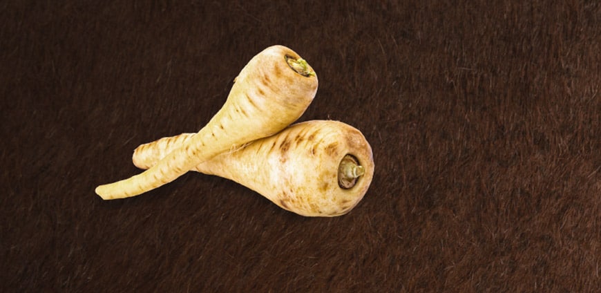 grosses-comeback-02-slider