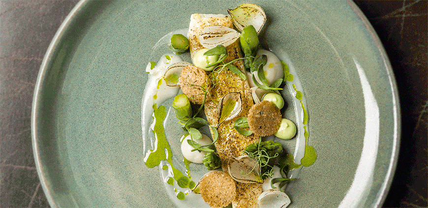 micheal-wolf-01-slide