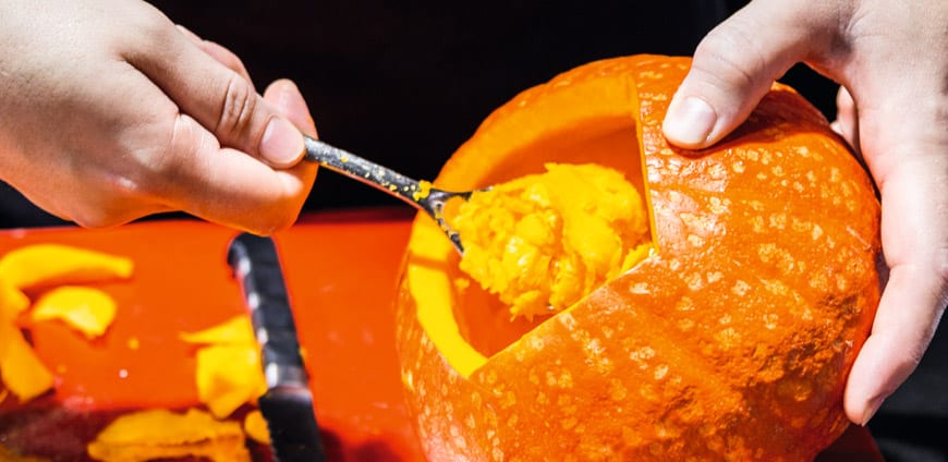 nerd_am_herd_kuerbis_02