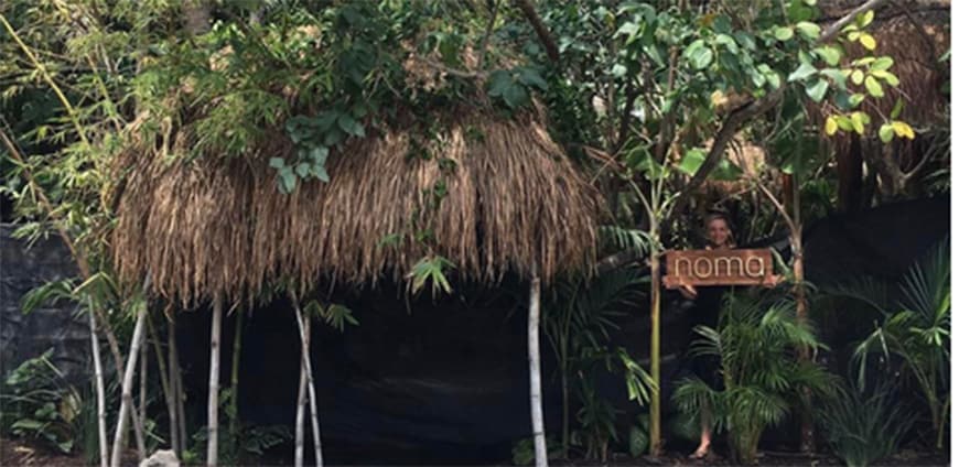 noma-mexiko-slider1