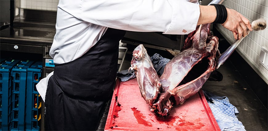 reh-zerlegen-06-slider