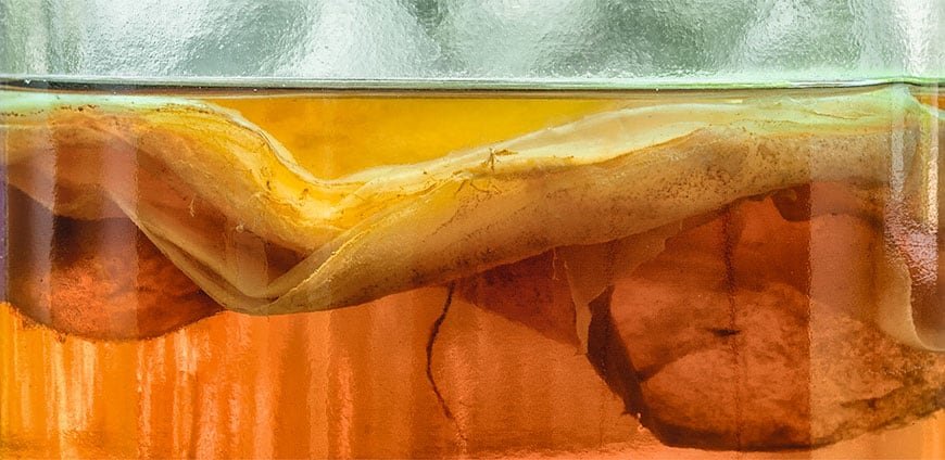 rp201-experiment-01-slider