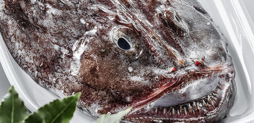 rp201-fisch-04-slider