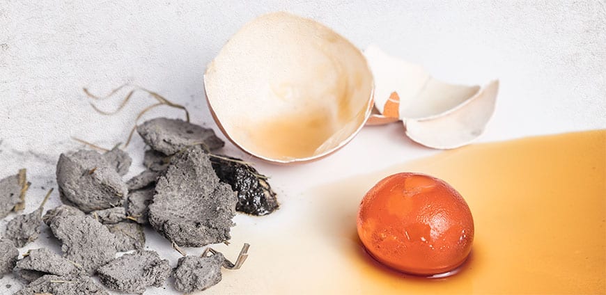 rp202-experiment-01-slider