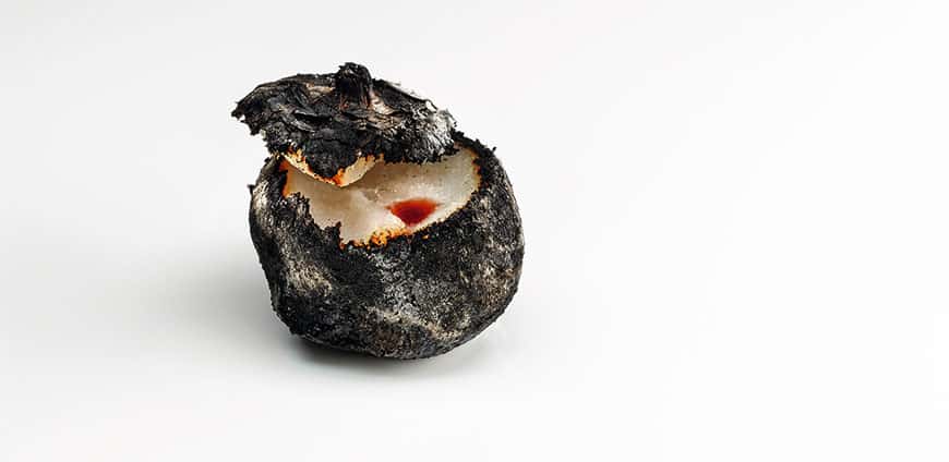 rp203-coverstory-05-slider