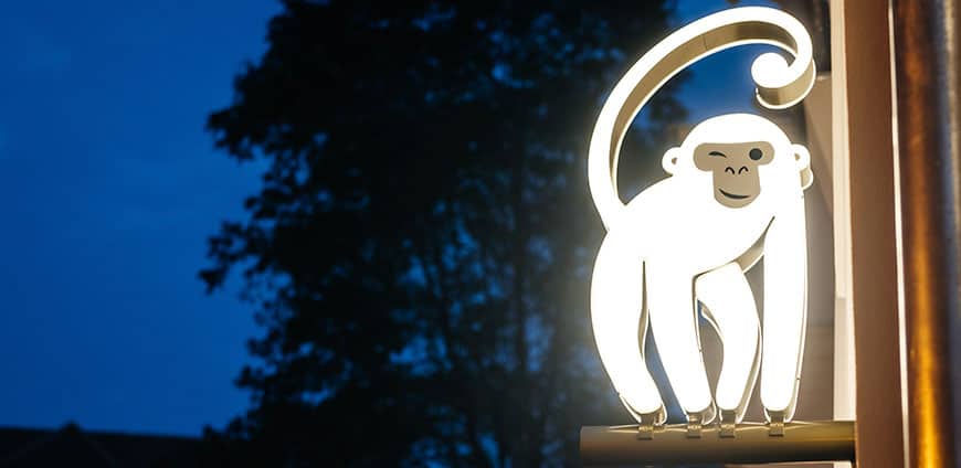 rp204-white-monkey-01-slider