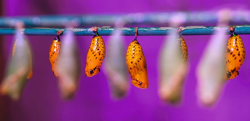 rp206-bompas-parr-09-slider