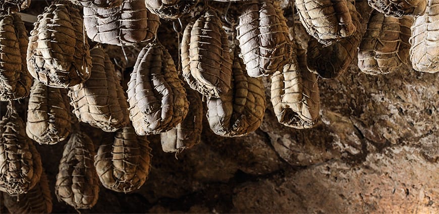 rp206-jockl-01-slider