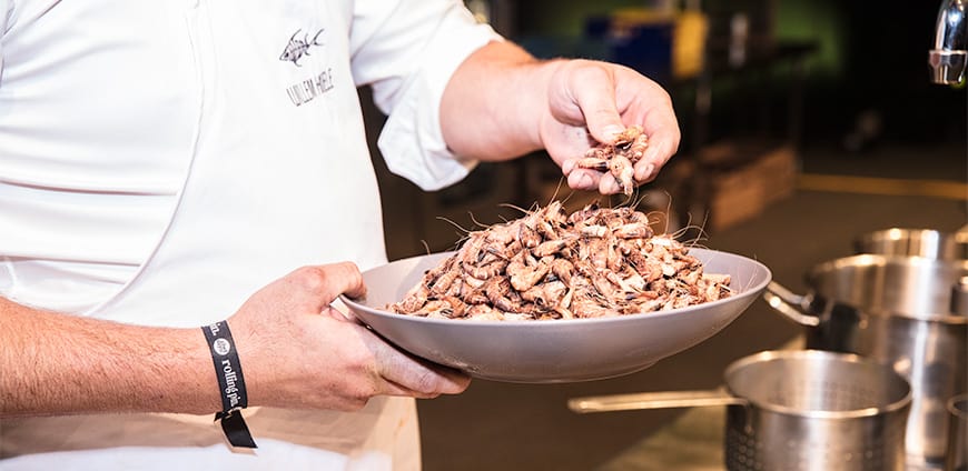 rp207-cd-hiele-03-slider