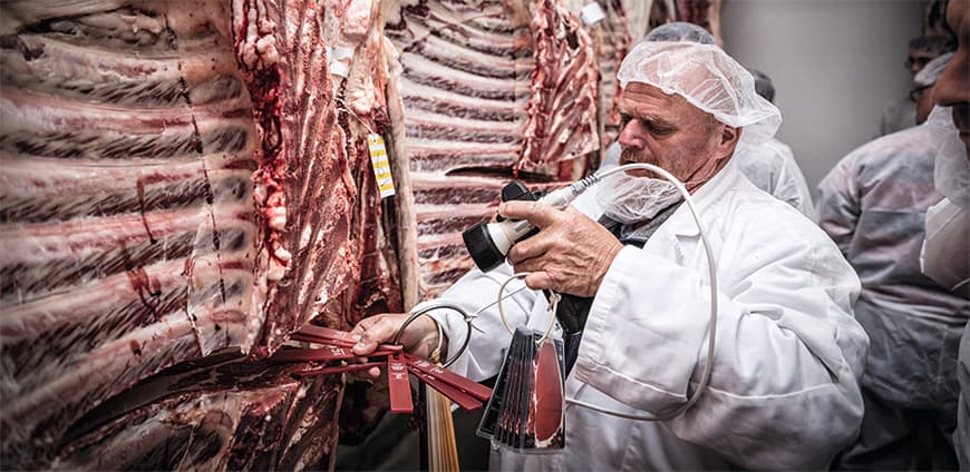 rp207-fleisch-03-slider