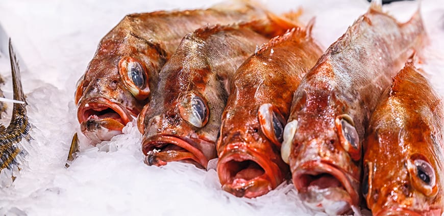 rp208-metro-03-slider