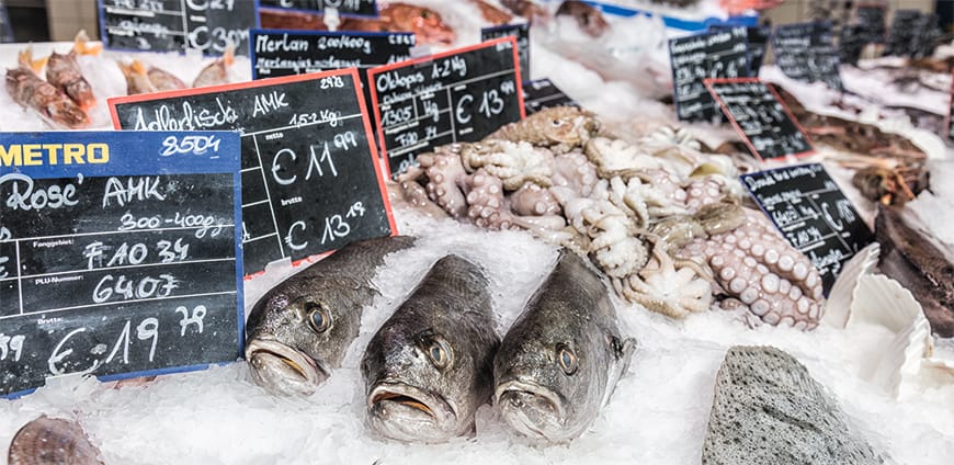 rp208-metro-05-slider