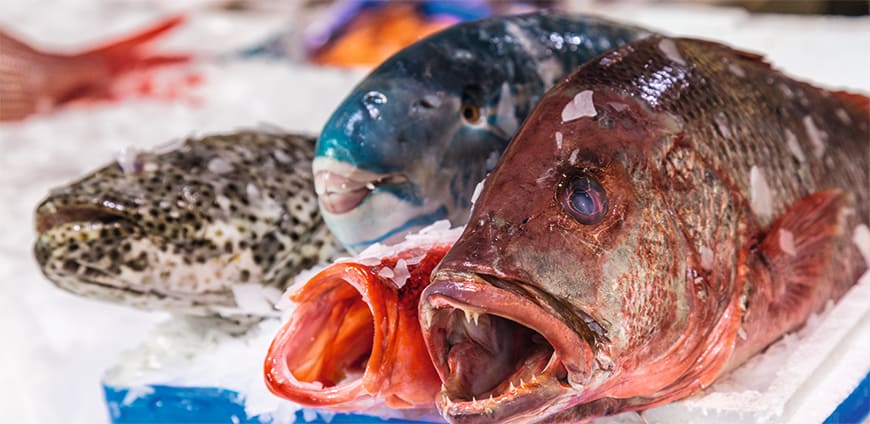 rp208-metro-06-slider