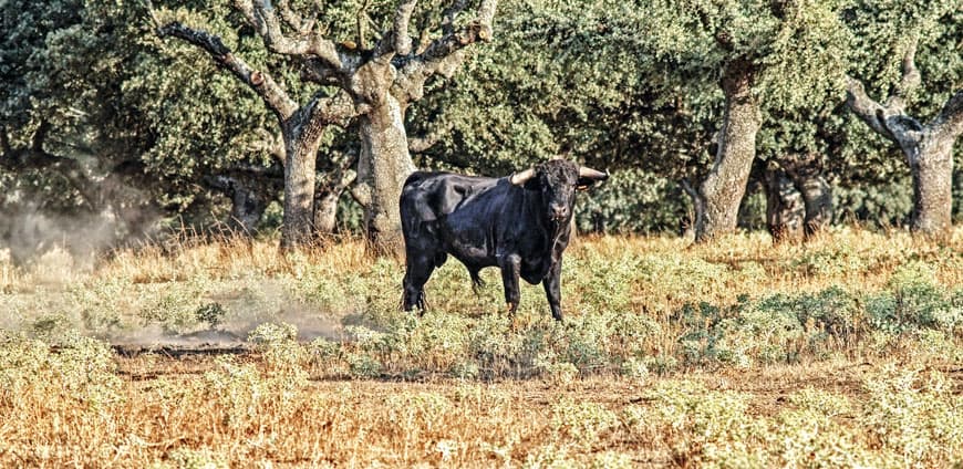 rp209-mdtlieferanten-slider10