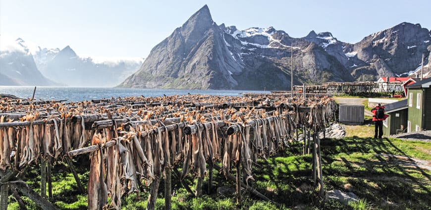 rp209-mdtlieferanten-slider2