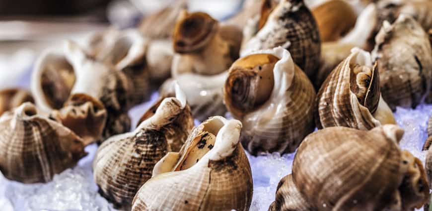 rp209-mdtlieferanten-slider3