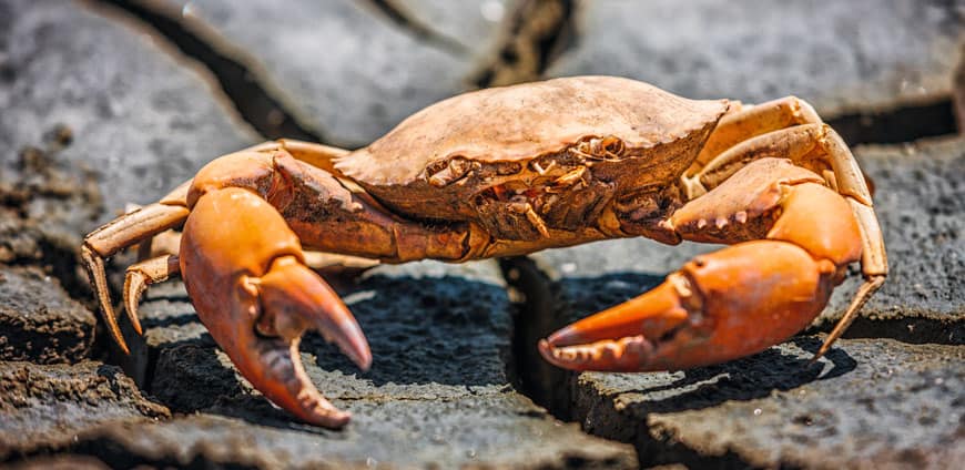 rp209-mdtlieferanten-slider8