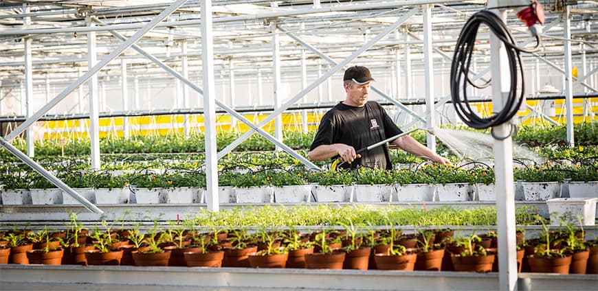 rp211-kress-09-slider