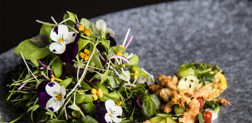 rp211-kress-12-slider