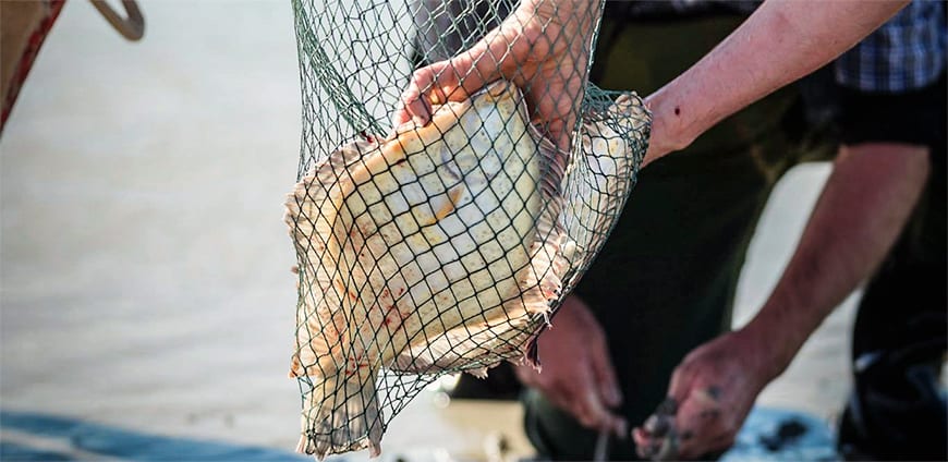 rp212-arbeiten-in-05-slider