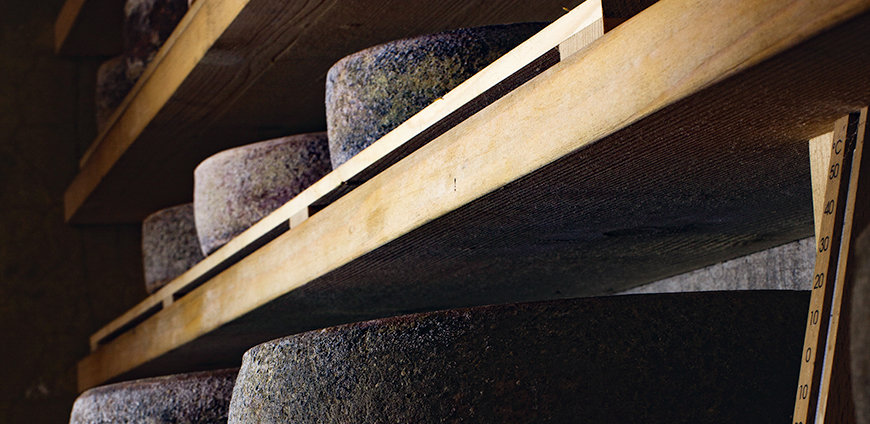 rp213-coverstory-01-slider