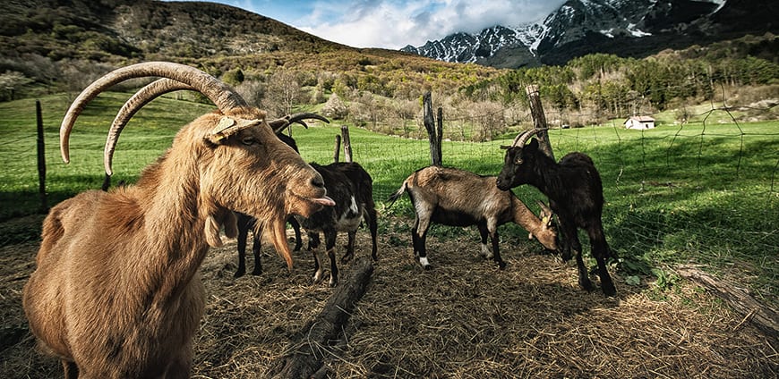 rp213-coverstory-04-slider