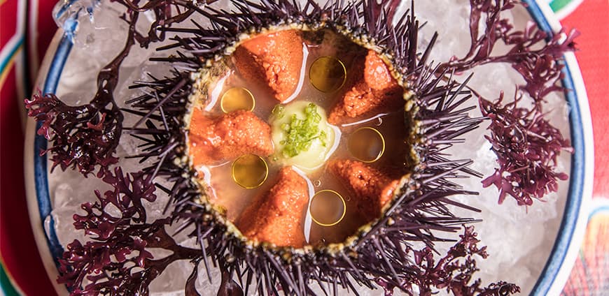 rp214-coverstory-slider5