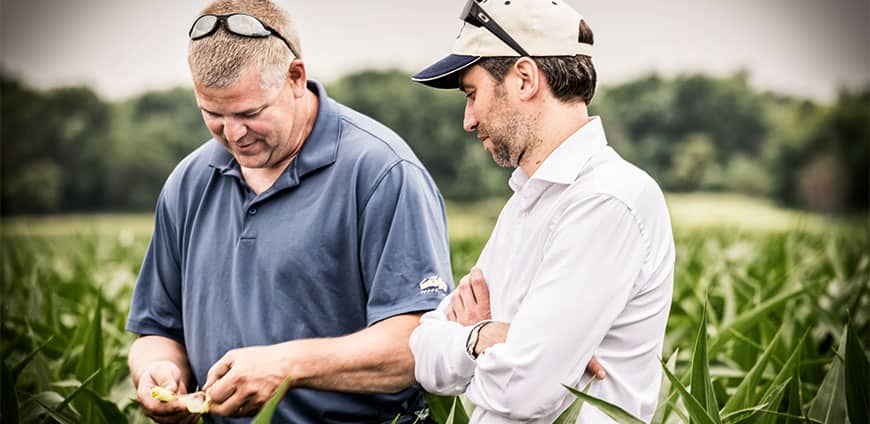 rp214-feedinglots-slider8