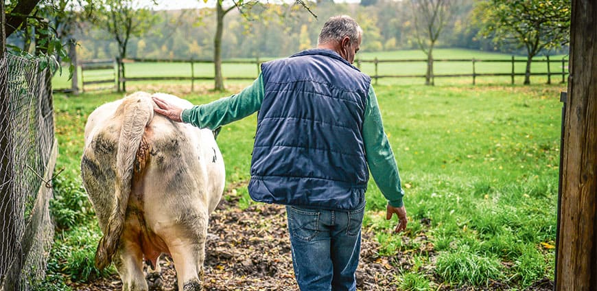 rp214-pr-aumerk-slider2