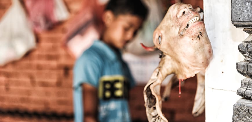 rp214_foodhunting_slider_2